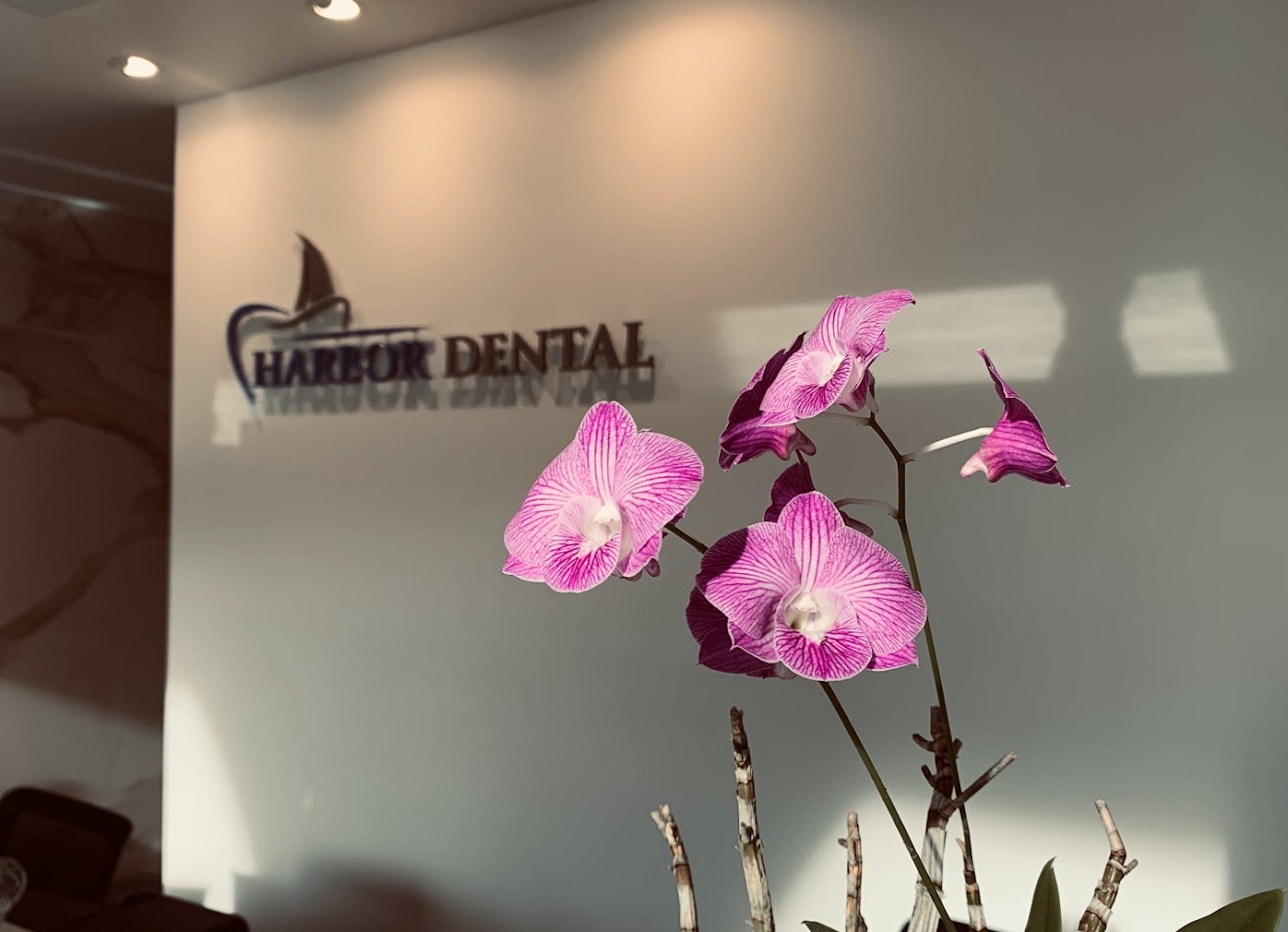 Cosmetic dentistry